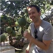 I am a chess tutor providing online lessons for beginner to intermediate levels.